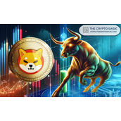 以下是柴犬币可能达到0.00008845美元和0.00045美元的时间线预测