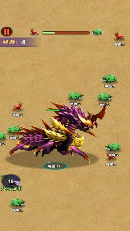 蚂蚁进化