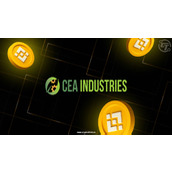 CEA工业集团以1.6亿美元购入BNB后成为最大持仓方