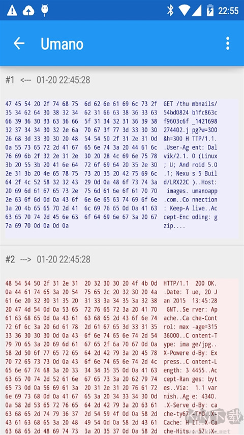 Packet Capture（