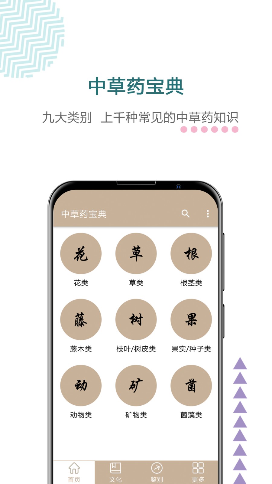 中草药宝典