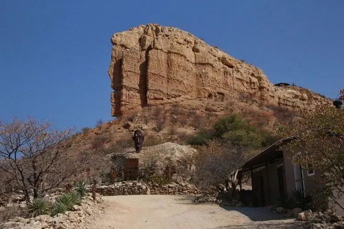 荒原曙光 打造完美营地必备指南