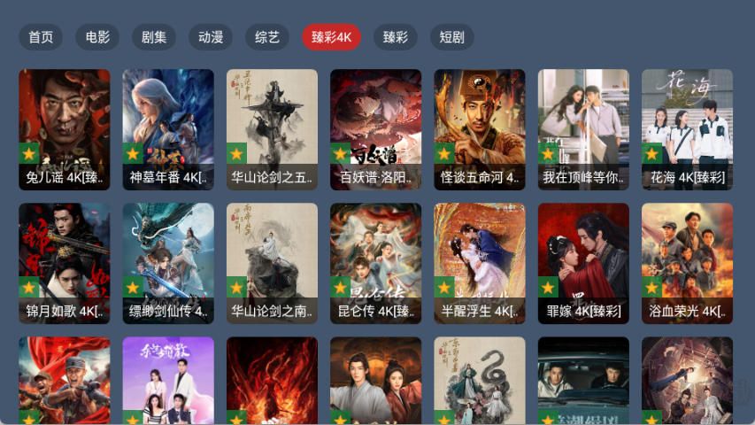 蓝光4K影视