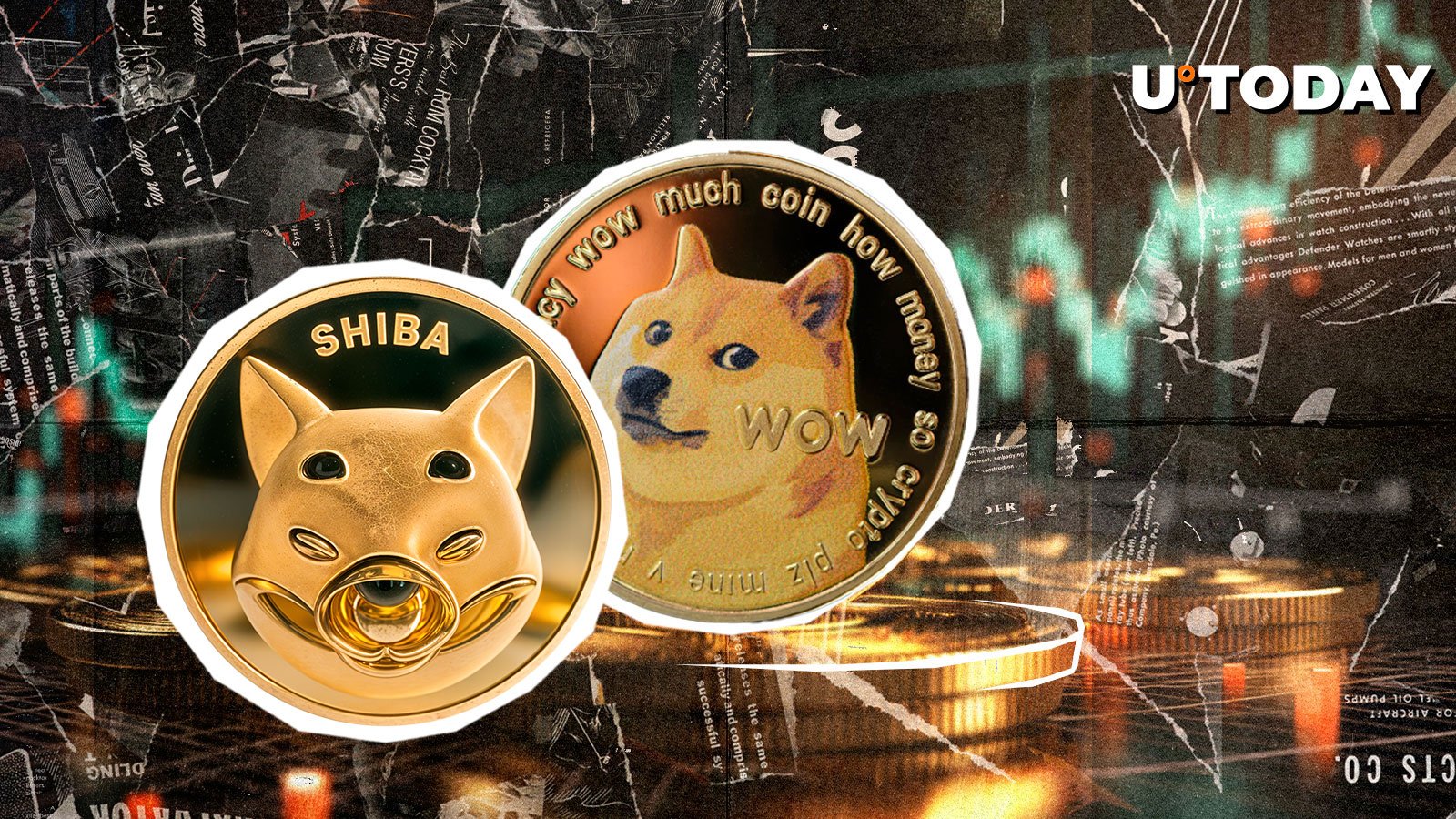 狗狗币（DOGE）本周飙升25.5%，瑞波币（XRP）暴涨16.2%——山寨币集体狂欢（U.Today报道）