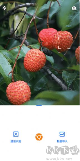 好剧屋投屏