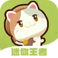 迷你王者