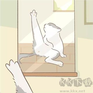 遇见你的猫
