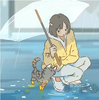 遇见你的猫