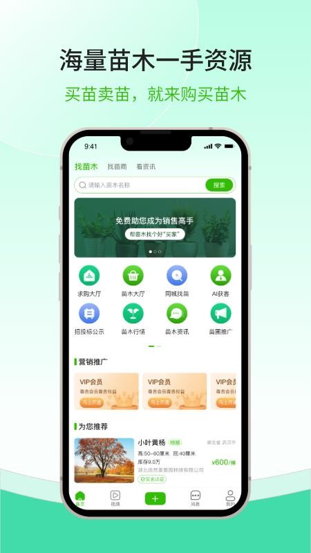购苗木