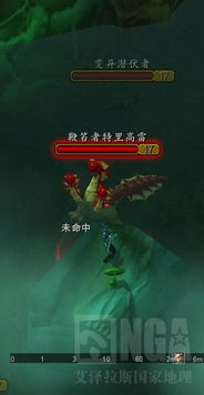 迷雾大陆 揭秘宠物如影随形的神奇跟随技巧