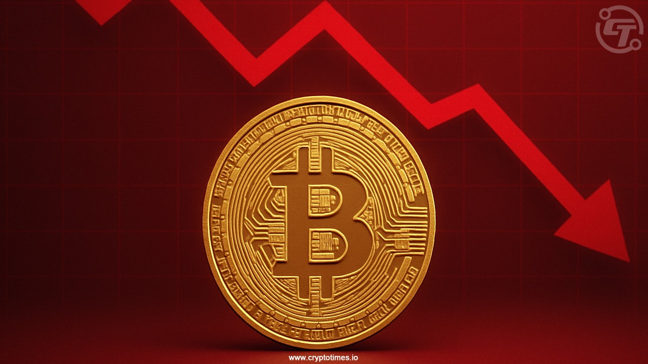 比特币价格达到11.5万美元：即将迎来支撑还是崩盘？