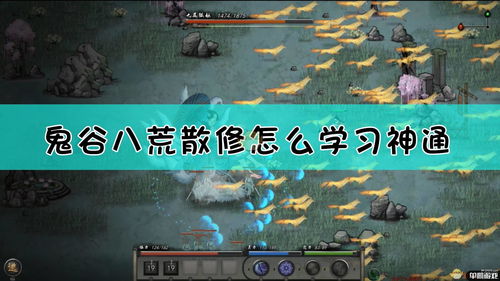 鬼谷八荒散修攻略怎么制定？