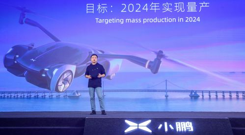 《梦想桃源游戏飞行功能失效？快速解决方法来啦 》