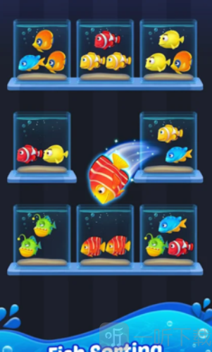 鱼类分类终极3D水族馆