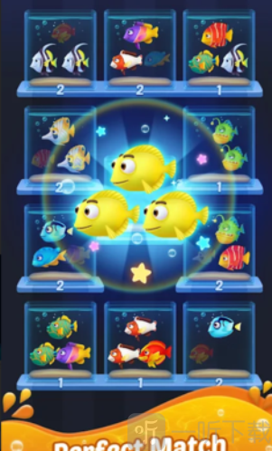 鱼类分类终极3D水族馆