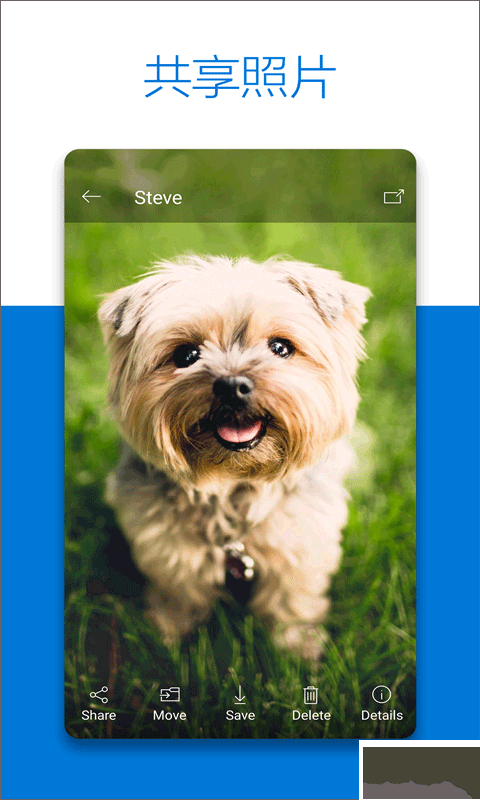OneDrive(微软云盘)