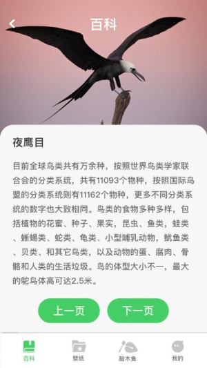 招财凤凰