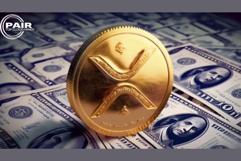 专家：XRP在实际应用中的价格区间为100至1000美元