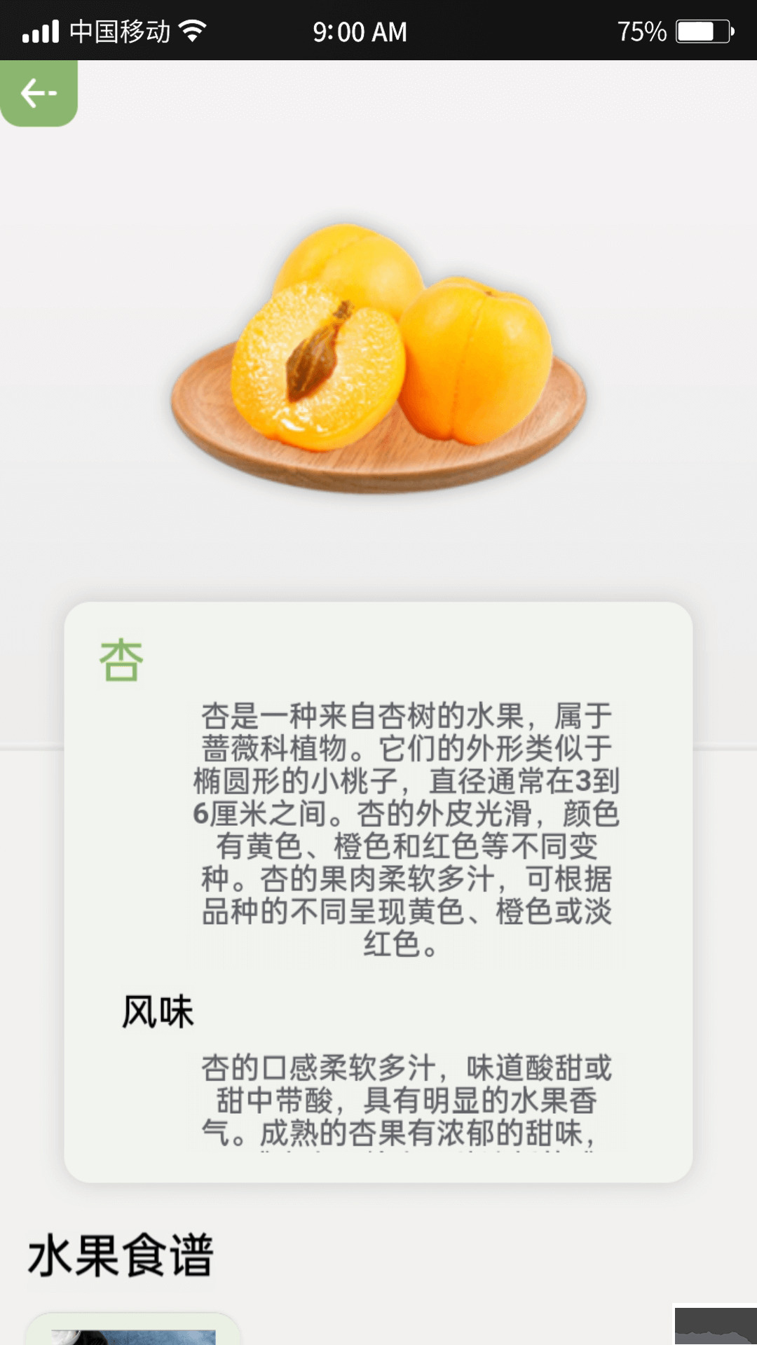 指尖果园(水果百科)