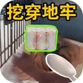 开心寻宝
