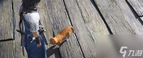 燕云十六声神仙渡猫咪分布指南