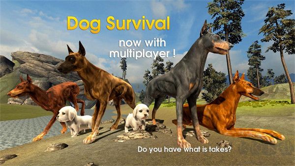 狗狗生存模拟器(Dog Survival Simulator)