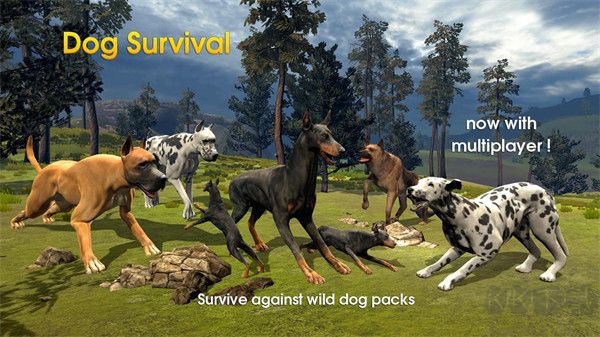 狗狗生存模拟器(Dog Survival Simulator)