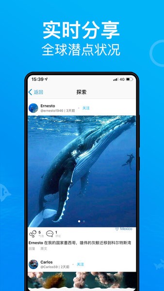 diveplus手机版
