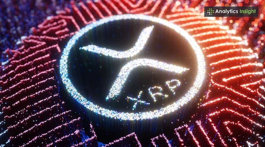 今日XRP新闻：为何XRP可能飙升至100美元？