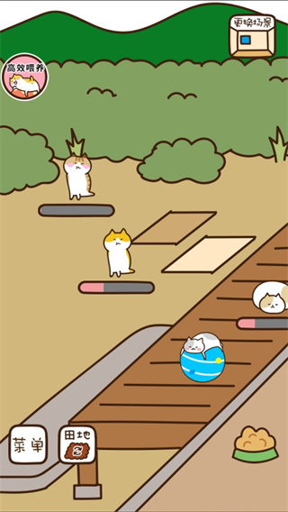 猫咪田园正版下载