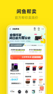 闲鱼iQOO12定制版