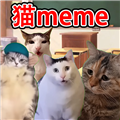 猫meme搞怪冒险