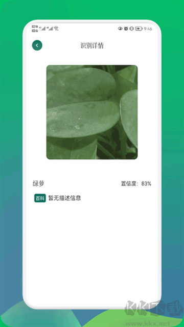 小园丁