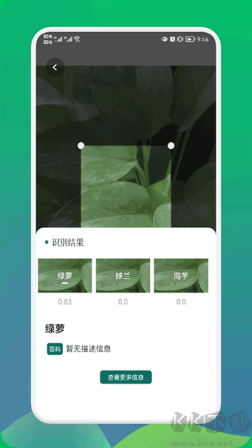 小园丁