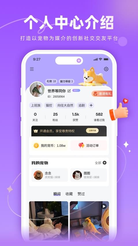 宠TA一生