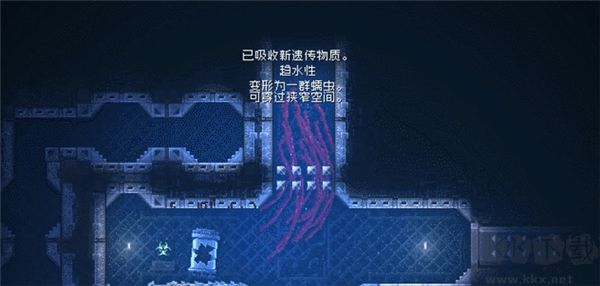红怪