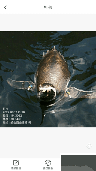 打卡定位