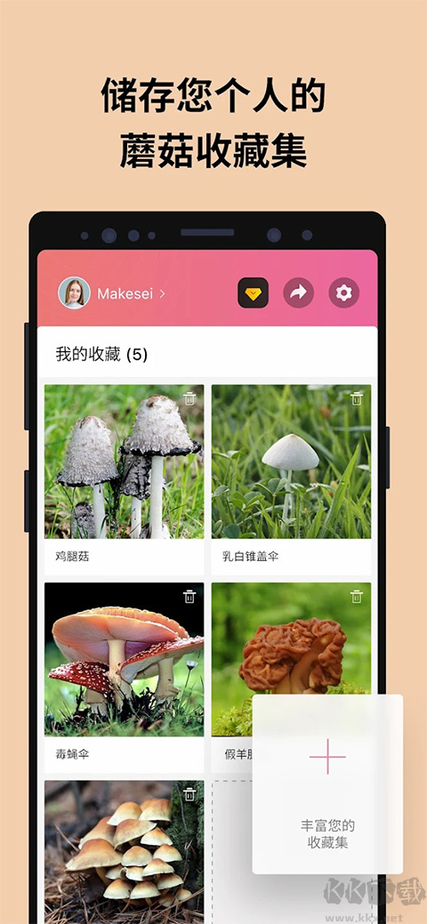蘑菇识别扫一扫(Picture Mushroom)