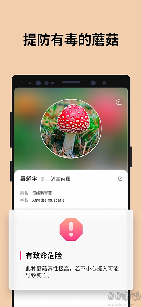 蘑菇识别扫一扫(Picture Mushroom)