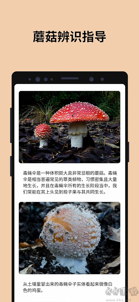 蘑菇识别扫一扫(Picture Mushroom)