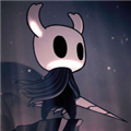 hollowknight