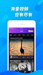 cici短视频老版本
