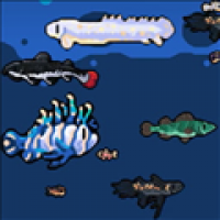 模拟水族馆官方版下载