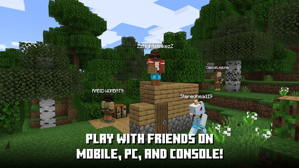 com.mojang.minecraftpe(我的世界