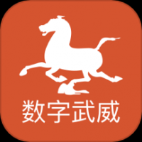 数字武威