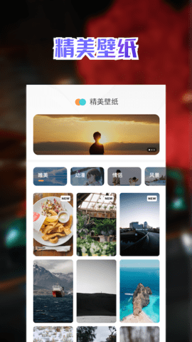 充电动画壁纸app手机版