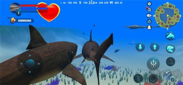 巨齿鲨模拟器(Megalodon Simulator)