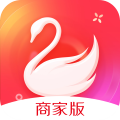 天鹅到家