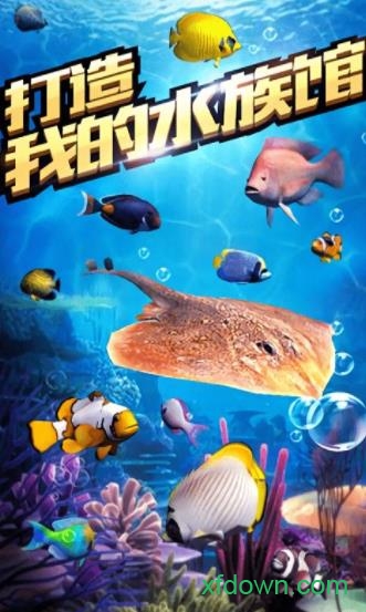 口袋钓鱼