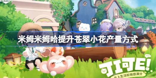 米姆米姆哈怎么才能提升苍翠小花产量一览